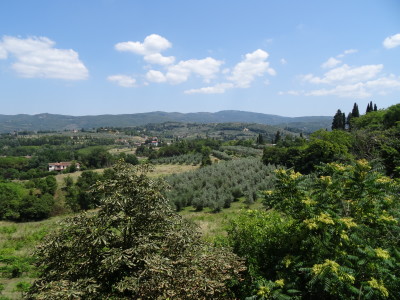 DSC03204
