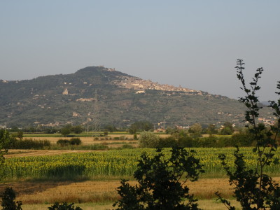 DSC03230