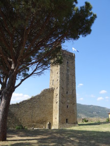 DSC03245 - kopie