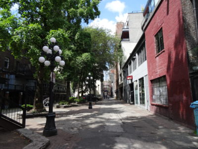 DSC03866